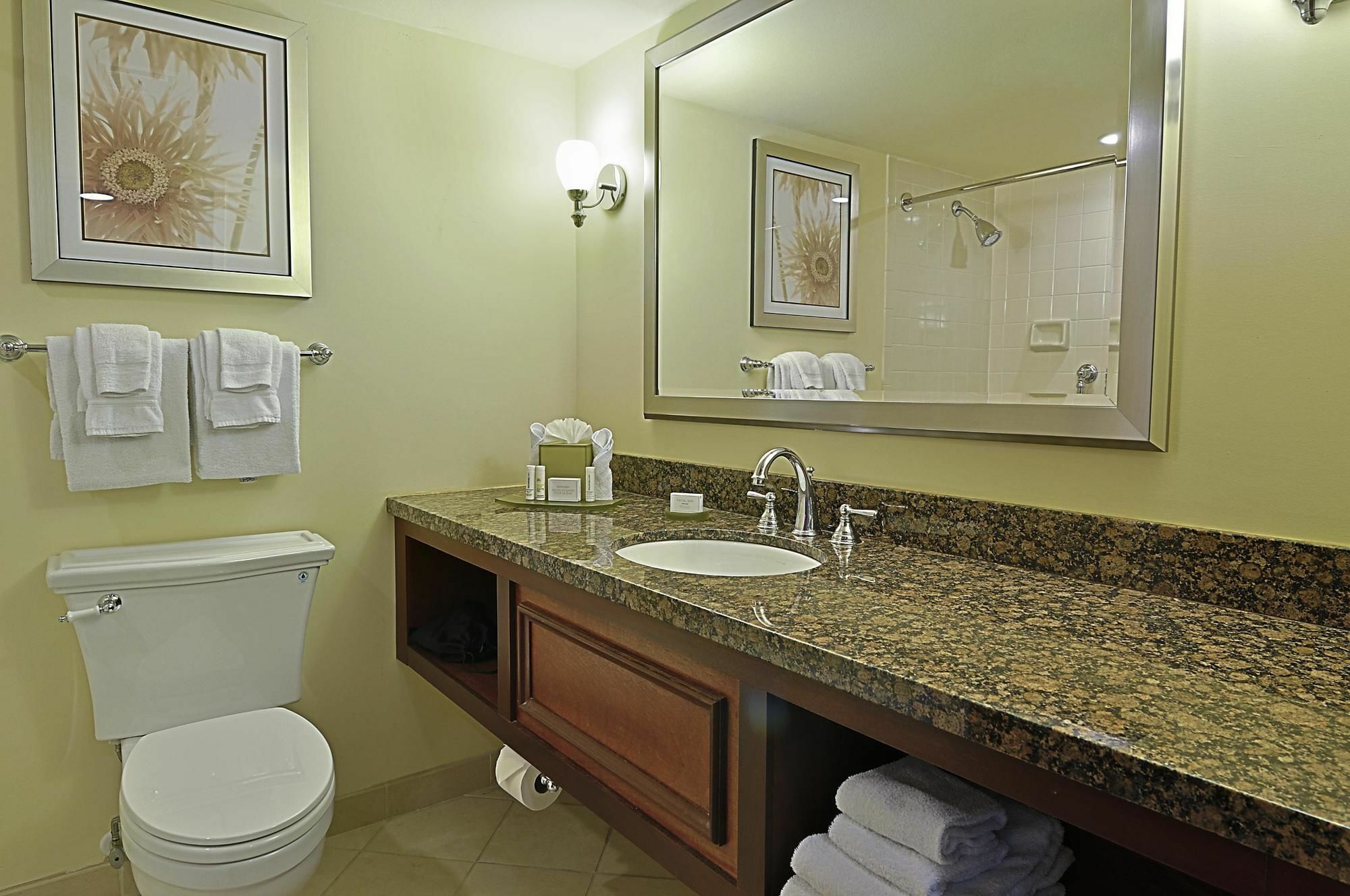 Courtyard By Marriott Bradenton Sarasota/Riverfront Extérieur photo